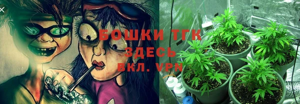 трава Новозыбков