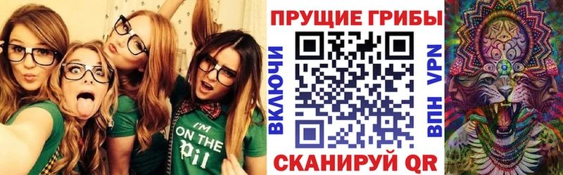 Псилоцибиновые грибы GOLDEN TEACHER  Сосенский 